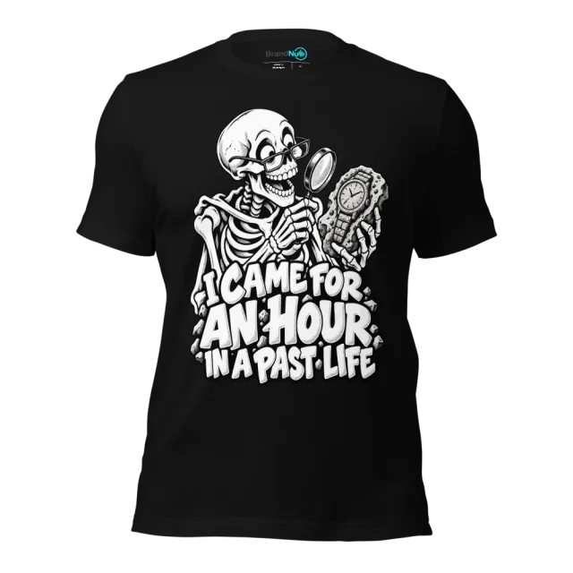 I CAME FOR AN HOUR IN A PAST LIFE T-SHIRT