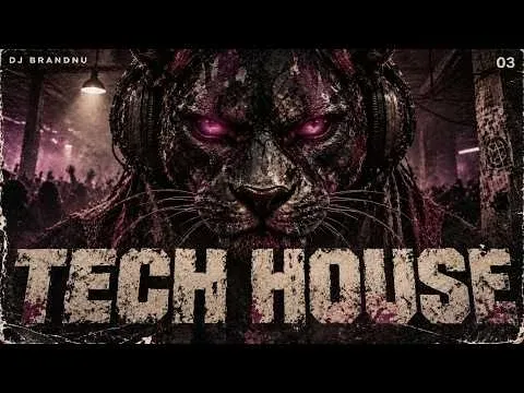 Tech House Mix 2026 - After Dark | DJ BrandNu