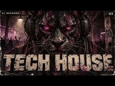 Tech House Mix 2026 - After Dark | DJ BrandNu