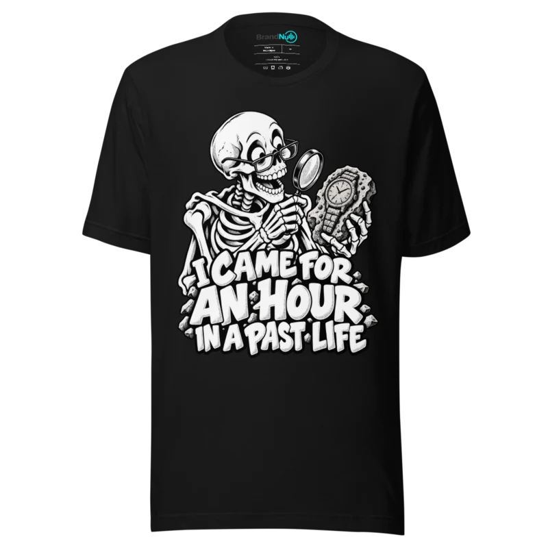 I CAME FOR AN HOUR IN A PAST LIFE T Shirt - Black