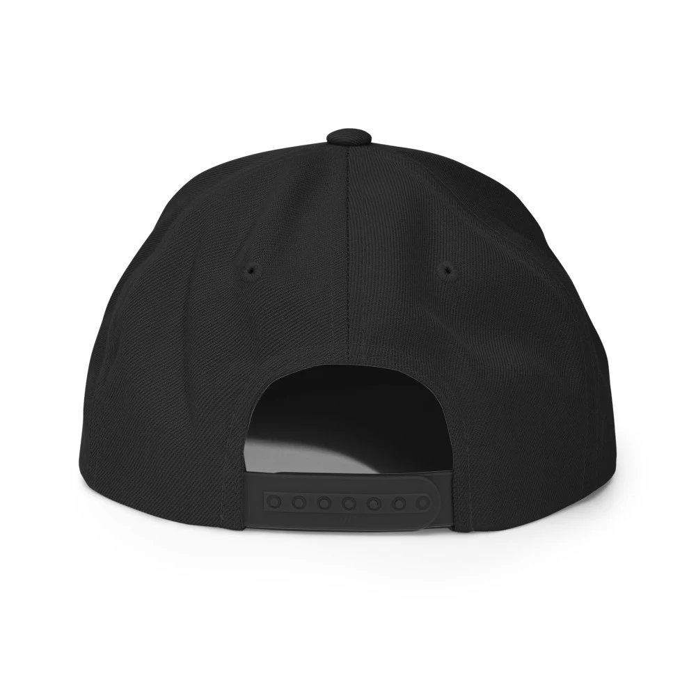 Not Sweat Club Soup Classic Snapback Black back view