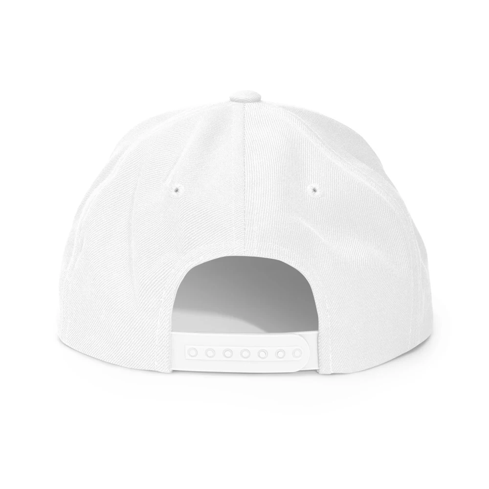 Pre Drinks Had Pre Drinks Classic Snapback White back view