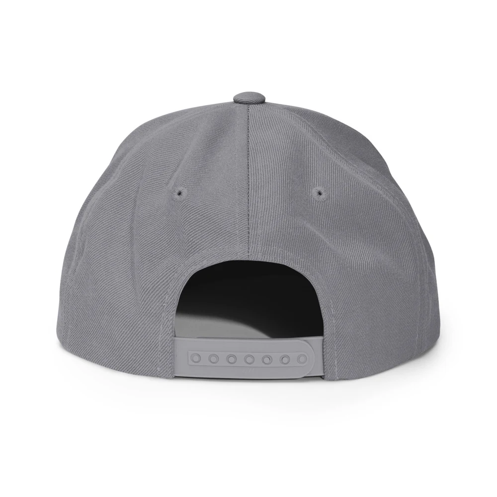 Pre Drinks Had Pre Drinks Classic Snapback Silver back view