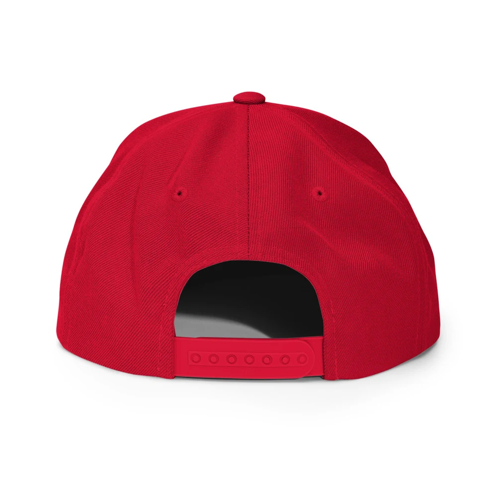 Pre Drinks Had Pre Drinks Classic Snapback Red back view