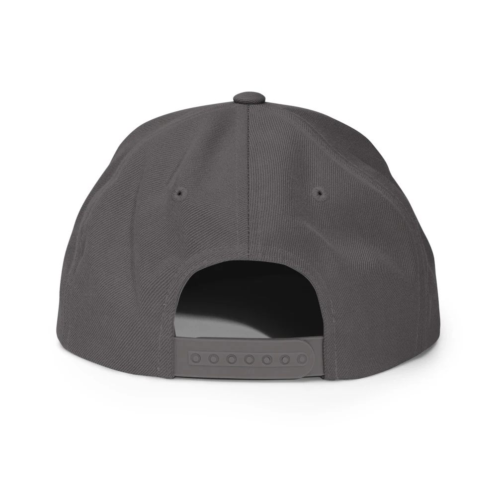 My Bank App Hates The Drop Classic Snapback Dark Grey back view