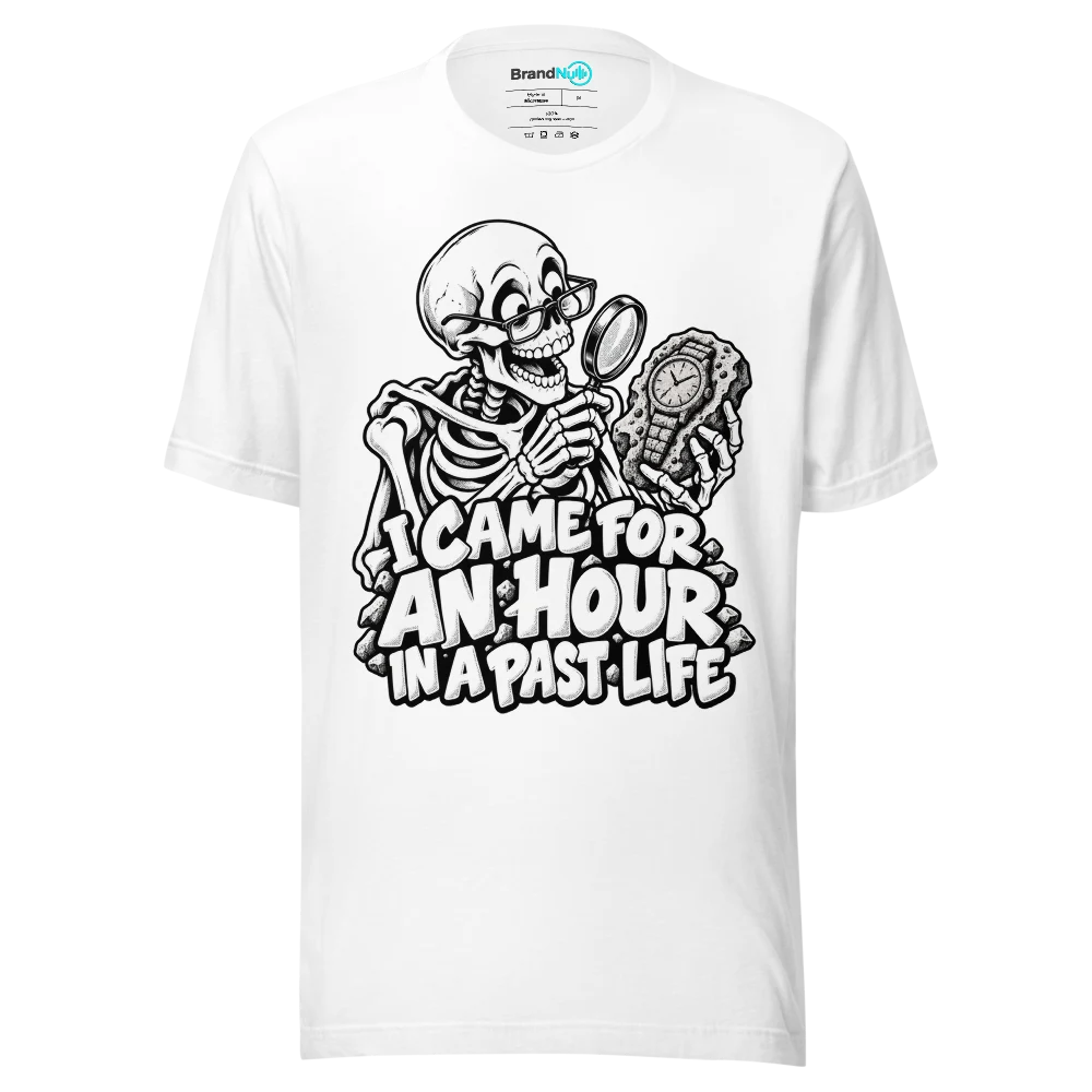 I CAME FOR AN HOUR IN A PAST LIFE T Shirt