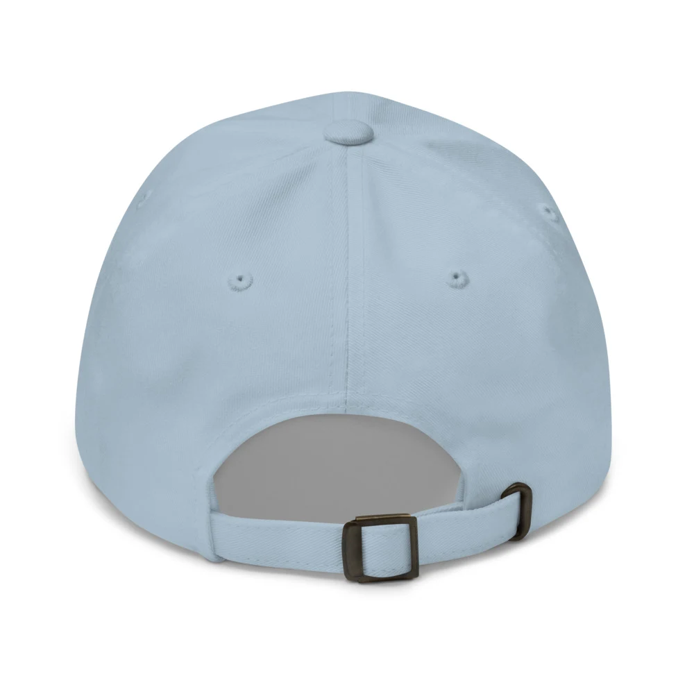 Pre Drinks Had Pre Drinks Dad Cap Light Blue back view