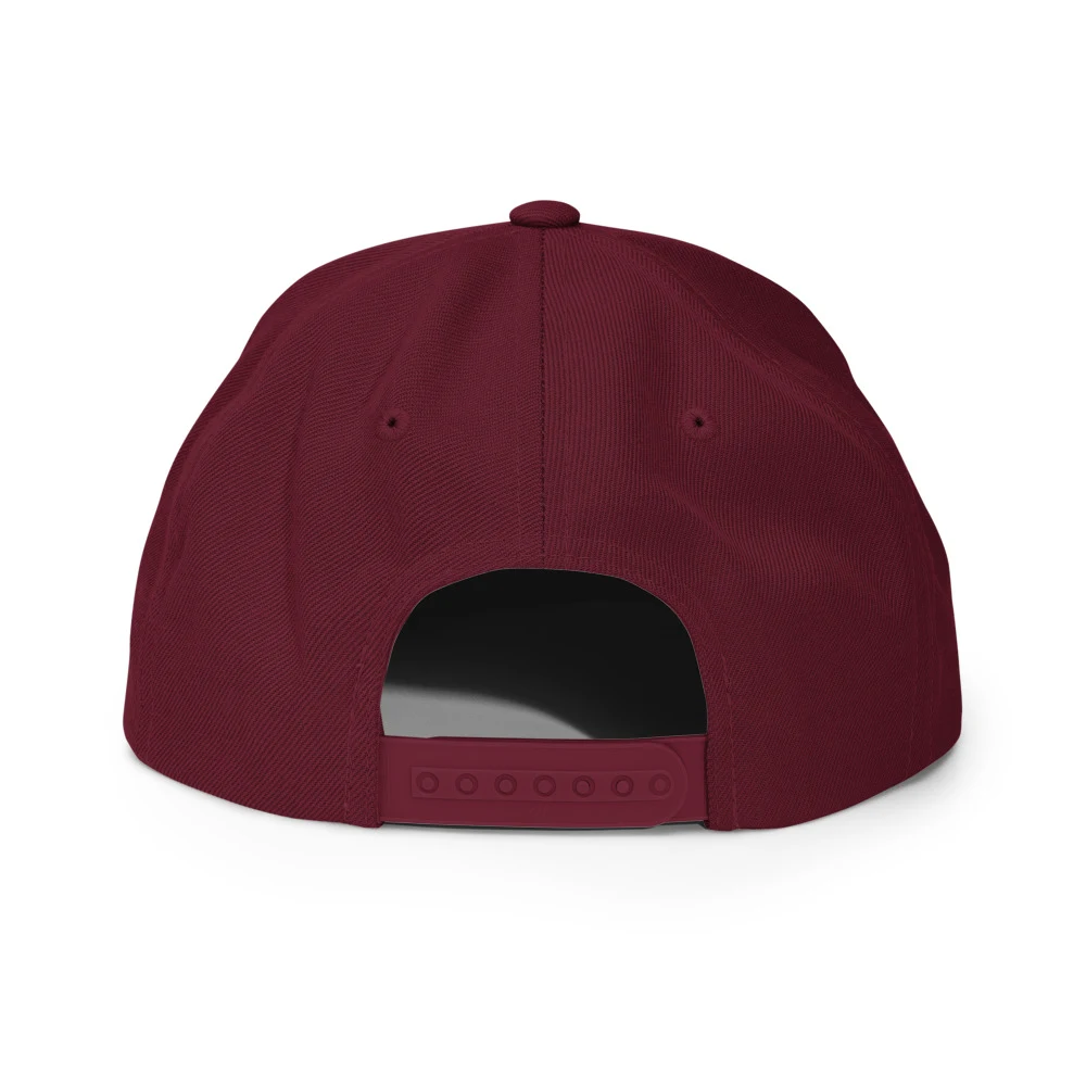 Pre Drinks Had Pre Drinks Classic Snapback Maroon back view